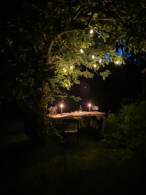 Garden Date Aesthetic, Garden At Night Aesthetic, Garden Night Aesthetic, Night Summer Aesthetic, Gardens At Night, Gilroy Gardens, Garden Date, Big Cabin, Descanso Gardens