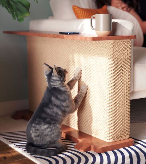 Behind the Brand: Hilde & Phil's Cat-e-Corner Couch Scratcher Side Table Cat Tree Alternatives, Cat Place Ideas, Cat Room Interior Design, Indoor Cats Ideas, Under Stairs Ideas For Cats, Cat Organization Ideas Small Spaces, Cat Setup Apartment, Cat Cabinet Ideas, For Cats Ideas