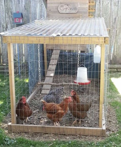 Chicken Coop In The Woods, Chicken Coop Run Plans, Chicken Cages Design, Grow Out Pens For Chicks, Small Chicken Run, Simple Chicken Run, Chicken Coops Diy, Reban Ayam, Poultry Farm Design