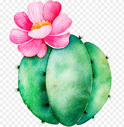 Cactus Flower Painting, Cactus Cartoon, Watercolor Pencil Art, Cactus Clipart, Flower Drawing Tutorials, Watercolor Flowers Tutorial, Cactus Painting, Watercolor Cactus, Desert Art