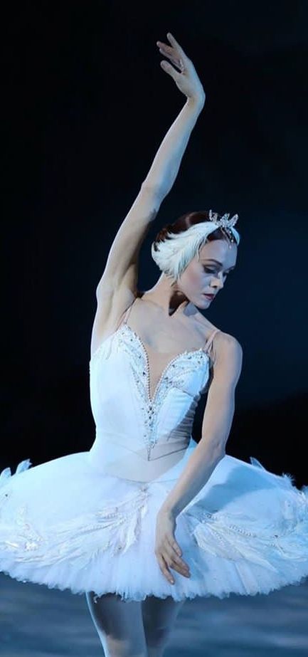 White Swan Costume Ballet, Ulyana Lopatkina Swan Lake, Swan Lake Odette Costume, Odette Ballet Costume, Swan Lake Tutu, Swan Queen Costume, Odette And Odile Swan Lake Costume, Swan Lake Outfit Ideas, Swan Lake Ballet Costume