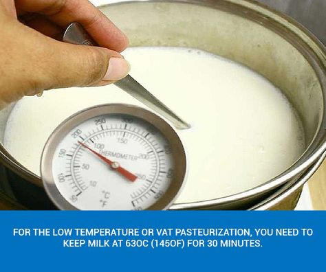 Methods, Time and Temperature for Pasteurizing Milk - Milky Day Blog How To Steam Milk, Goat Milk Recipes, Electric Ice Cream Maker, Temperature Chart, Kitchen Thermometer, Pasteurizing Milk, Cooking Thermometer, Warm Milk, Milk Recipes