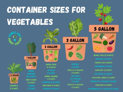 Vegetable Container Size Standards (With Chart) - Ponics Life Tips For Growing Vegetables, Apartment Farming, 2023 Notebook, Garden Ideas For Beginners, Balcony Garden Ideas, Vegetable Garden Planning, Vegetable Garden Diy, Gardening 101, Veg Garden