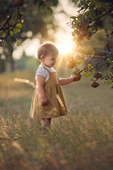 Apple Orchard Photography, Apple Picking Photos, Family Maternity Pictures, Baby Apple, Apple Picture, Toddler Pictures, Mom Fall, Toddler Photos, Fall Family Pictures