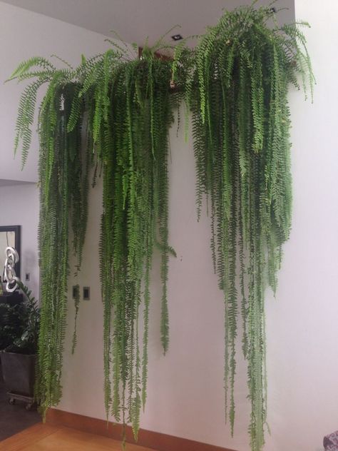 Plant Wall Bedroom, Hanging Indoor Plants, Plants Hanging, Indoor Plant Wall, Hanging Plant Wall, Hanging Plants Indoor, Bathroom Plants, Deco Originale, Plant Ideas