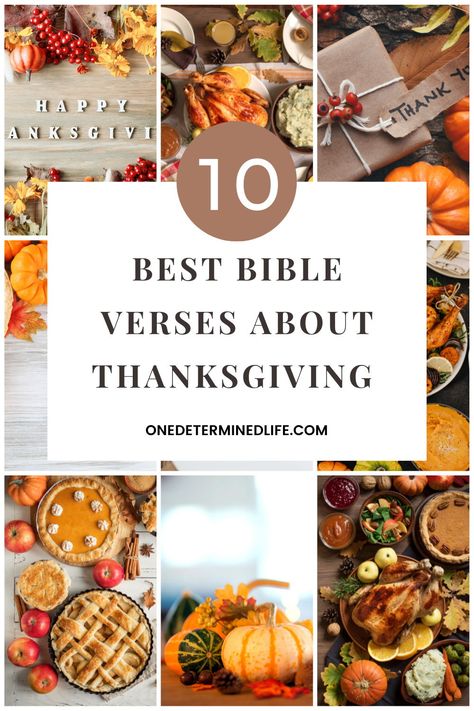 Thanksgiving is right around the corner. It’s a perfect time of year to take some time and thank God for all the things He has done, for who He is, and what He has given us. To help us do that, today I share with you 10 Best Bible Verses about Thanksgiving. Bible Verses About Thanksgiving, Bible Verse Thanksgiving, Thankful Verses, Thankful Bible Verses, Thanksgiving Verses, Thanksgiving Devotions, Thanksgiving Bible Verses, Year Bible Reading Plan, Thanksgiving Writing