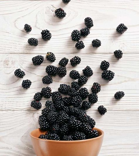 Blackberry Fruit, Fruits Photos, Make Food, Fruit Photography, Cute Food Art, Berry Fruit, How To Make Jam, Healthy Fruits, To Touch