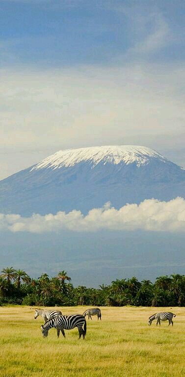 Kilimanjaro Tanzania, Travel Plane, Tanzania Travel, Tanzania Africa, Tanzania Safari, Mount Kilimanjaro, Plane Travel, Africa Travel, Land Art