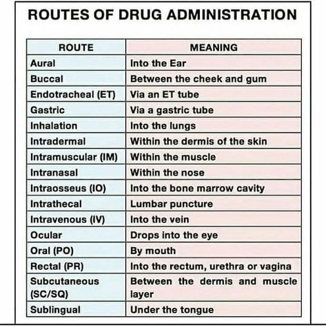 Nursing Universe on Instagram: “. . for more 👇 @nursing_universe . . . . . #fundamentalsofnursing #nclex #nclexprep #registerednurse #bsn #nurse #nursing #aiims…” Theoretical Foundation Of Nursing, Foundation Of Nursing, Nclex Pharmacology, Medical Memes, Nclex Prep, Fundamentals Of Nursing, Nursing Notes, Medical Knowledge, Nclex