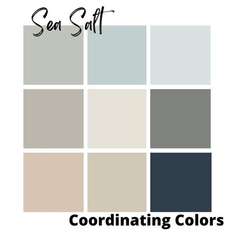 sand dollar, cityscape, heron plume, accessible beige, comfort gray, naval, and mindful gray are the coordinating colors for sea salt Sea Salt Blue Sherwin Williams, What Color Goes With Sea Salt Paint, Colors To Pair With Sherwin Williams Sea Salt, Sea Salt Bathroom With Gold, Colors That Go With Sea Salt Sherwin Williams, Sherman Williams Sea Salt Coordinating Colors, Benjamin Moore Beach Glass Vs Sherwin Williams Sea Salt, Hale Navy And Sea Salt, Living Room Wall Color Sherwin Williams