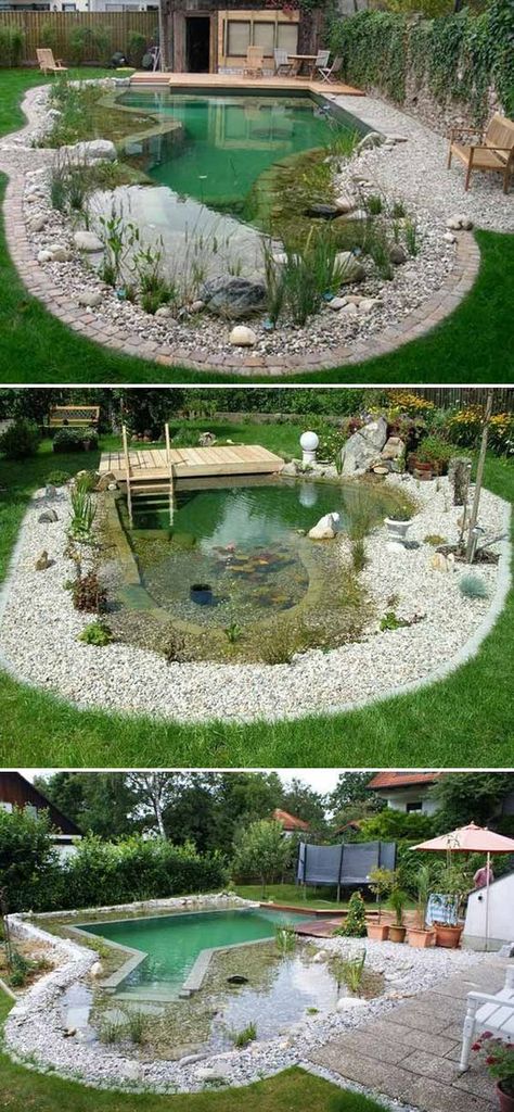 Pools For Small Yards, Small Yard Landscaping, Natural Swimming Ponds, Small Pond, Stock Tank Pool, Tank Pool, Family Pool, Swimming Pond, Natural Swimming Pools