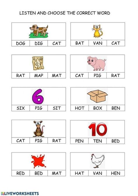 Cvc Reading Worksheet, An Words Worksheets, Phonics Cvc Words, Words Worksheet, Phonics Cvc, Phonics Worksheets Free, Cvc Worksheets, Cvc Words Worksheets, Kids Worksheet