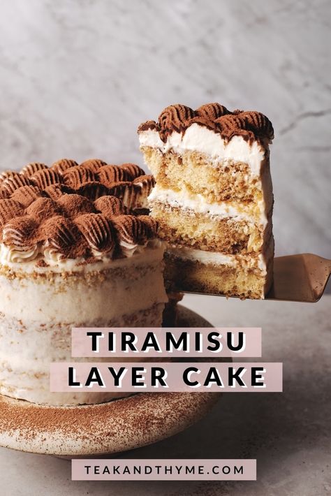 Tiramisu Sponge Cake Recipe, Cake Recipes Not Too Sweet, Different Chocolate Cake Flavors, Different Cake Flavours, Sponge Cake Tiramisu, Two Layer Cake Ideas, Tiramisu Flavored Cake, Sponge Cake Flavour Ideas, Tiramisu Birthday Cake Recipe