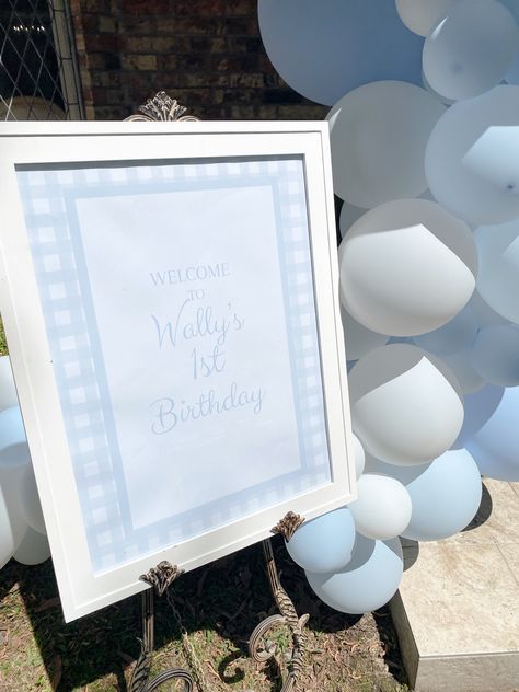 Blue And White Gingham First Birthday, Blue Gingham First Birthday, Classic Blue And White First Birthday, White 1st Birthday Party, First Birthday Theme Boy, Gingham Party, White Party Theme, Pink First Birthday, First Birthday Cookies