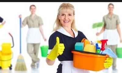 If you need assistance with bathroom cleaning, then choose Mercedes Diaz. She handles various services, including dusting, vacuuming, kitchen cleaning, and more. Bathtub Tile, Cleaning Tile Floors, Electric Cleaning Brush, Drill Brush, Apartment Cleaning, Aged Care, Kitchen Sponge, Clean Tile, House Cleaning Services