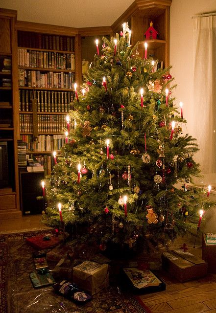 Oh Christmas Tree! Traditional Christmas Tree Candles...   steveluscher, via Flickr Easy Holiday Desserts Christmas, Holiday Trees, Christmas Tree Candles, Traditional Christmas Tree, German Christmas, Candle Tree, Beautiful Christmas Trees, Old Fashioned Christmas, Victorian Christmas