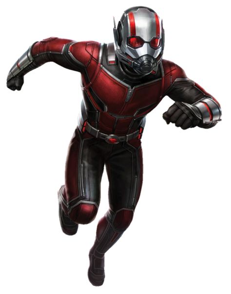 Ant Man Scott Lang, Ant Man Marvel, Ant Man And The Wasp, Comic Book Writer, Antman And The Wasp, Transformers 4, Man Design, Scott Lang, The Wasp