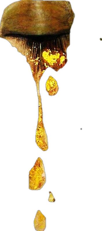 Tears Of Gold, Klimt Poster, Golden Tears, Anne Marie, Sale Poster, For Sale, Gold