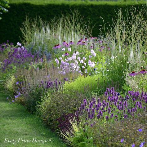 Long Garden Design, Garden Border Design, Lawn Replacement, Shrub Border, Perennial Garden Design, Perennials Flowers, Australian Garden Design, Naturalistic Garden, Garden Desig