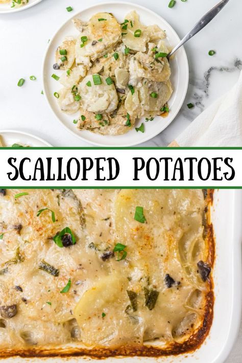 Scalloped Potatoes Mushroom Soup, Scalloped Potatoes With Cream, Easy Mushroom Soup, Scalloped Potatoes Crockpot, Easy Scalloped Potatoes Recipe, Best Scalloped Potatoes, Scalloped Potatoes Easy, Scalloped Potatoes Recipe, Viral Recipes