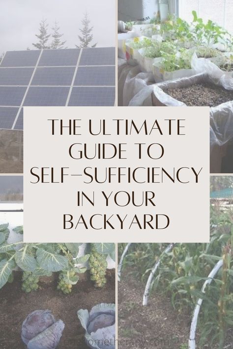 Building A Self Sufficient Home, Self Sufficient Living Small Farm, Self Sufficiency Living, How To Live Off The Land, Self Sustaining Garden, Self Sufficient Garden, How To Be Self Sufficient, Owning Land, Farm Airbnb