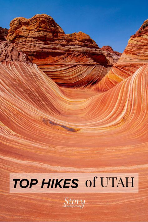 Top 15 Hikes near Escalante, Utah - Enjoy Remarkable Formation, Canyons, Slot Canyons, and Fun Hikes - Story at Every Corner Slot Canyons Utah, Escalante Utah, Zion National Park Hikes, Hiking Usa, Utah National Parks Road Trip, Adventure Trips, Slot Canyons, Escalante National Monument, Hiking Europe