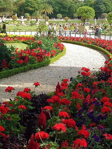 Paris / Jardins du Luxembourg Paris Garden, Aesthetics Home Decor, Plantas Bonsai, Flowers Home Decor, Beautiful Paris, Gardening Plants, Flowers Home, Beautiful Flowers Garden, Garden Pathway