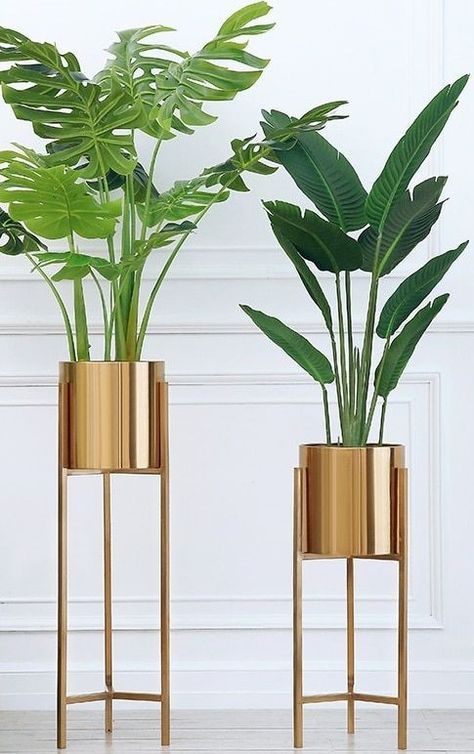 Gold Plant Stand, Indoor Plant Stands, Bedroom Display, Golden Decoration, Hanging Ferns, Indoor Plant Stand, Gold Planter, Stand Flower, Potted Succulents