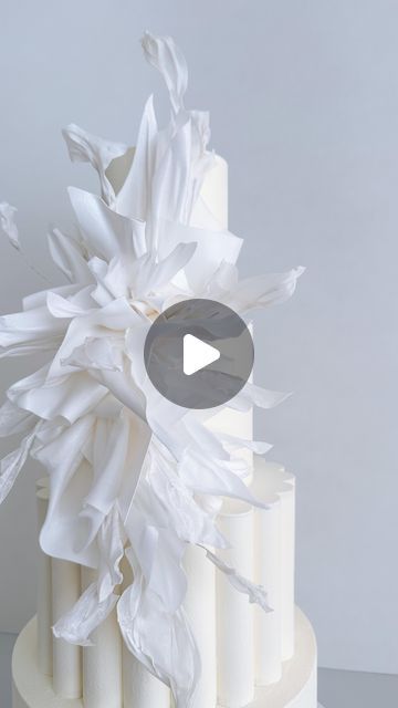 K CAKE on Instagram: "Taking a closer look at the process of creating this scalloped and  ruffled wedding cake ,  We had so much fun making it. Would love to hear your thoughts" K Cake, Cake Ruffles, Ruffled Wedding Cake, Scalloped Cake, Cake Techniques, Ruffle Wedding Cake, Dress Cake, How To Make Cake, The Process