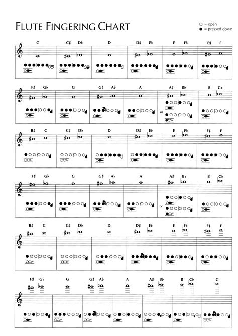 Learn How To Play The Flute, Flute Note Chart, Flute Chords Chart, Songs To Play On Flute, Flute Fingering Chart, Flashcards Free Printable, Flute Lessons, Flute Sheet Music, Band Nerd