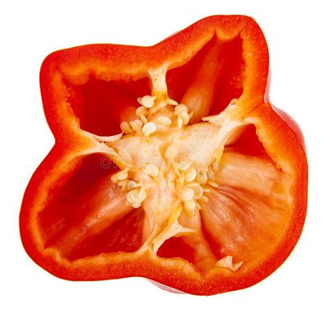 Red bell pepper isolated on white background stock photography Food Texture Photography, Pepper Aesthetic, Healthy Background, Focus Background, Background For Business, Random Icon, Higher Art, Natural Form Art, Life Drawing Reference