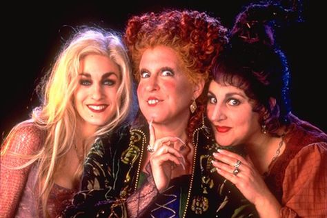 Here's Every Halloween Movie and TV Special Streaming on Disney via TV Guide Try a #NUmedia Trial. numediatvtrial.com #numediaglobal #numediatrial #tvshows #tvseries 31 Nights Of Halloween, Kathy Najimy, Hocus Pocus 1993, Hocus Pocus Movie, Sarah Sanderson, Hocus Pocus 2, Sanderson Sisters Hocus Pocus, Bette Midler, Sanderson Sisters