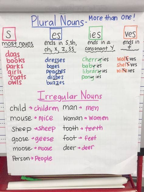 Plural Nouns Anchor Chart, Nouns Anchor Chart, Art Room Rules, Irregular Nouns, Ela Anchor Charts, Room Rules, Success Academy, Grammar For Kids, Classroom Anchor Charts