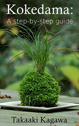 Kokedama Ball, Diy Kokedama, Japanese Moss Balls, Japanese Plants, String Garden, Bonsai Soil, Ball Ideas, Moss Plant, Household Plants