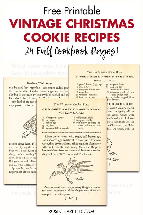 A collection of FREE printable vintage Christmas cookie recipe pages! 24 full cookbook pages to print featuring a variety of cookie recipes, including hand drawn illustrations, baking tips, and personal narrative. #freeprintables #Christmasprintables #vintagecookbook Free Printable Vintage Recipes, Vintage Recipe Cards Printable Free, Organize Recipe, Vintage Christmas Cookie Recipes, Corn Cookies Recipe, Vintage Christmas Printables, Vintage Christmas Cookies, Free Christmas Printables Vintage, Cookbook Pages