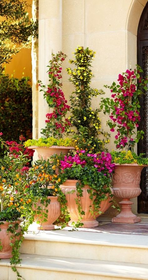 Echoes of ancient Mediterranean civilizations resonate in this stunning terra cotta pottery. Drawing on classic Italian designs, these garden planters call for noble placement on a sweeping veranda or in a quaint courtyard. | Frontgate: Live Beautifully Outdoors: Italian Garden Ideas, Ancient Mediterranean, Mediterranean Garden Design, Outdoor Vases, Terra Cotta Pottery, Tuscan Garden, Mediterranean Landscaping, Italian Garden, Garden Containers