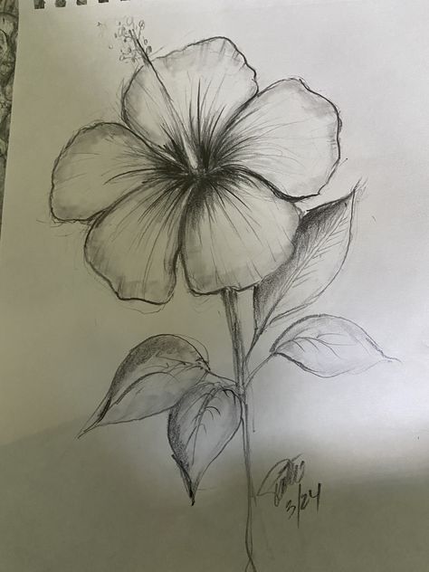 Cool Art Drawings Flowers, Plants Drawing Sketch, Flower Reference Drawing Sketch, Sketches Pencil Flower, Drawing Of Poppy Flower, Realistic Drawings Flowers, Flower Sketching Ideas, Peaceful Drawings Nature, Medium Drawing Ideas