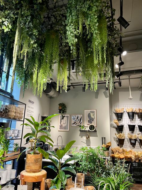 Ferns Hanging From Ceiling, Ceiling Plants Hanging, Greenery Hanging From Ceiling, Plants Chandelier, Plant Ceiling Decor, Plants Hanging From Ceiling, Hanging Plants Ceiling, Foliage Ceiling, Ceiling Flower Design