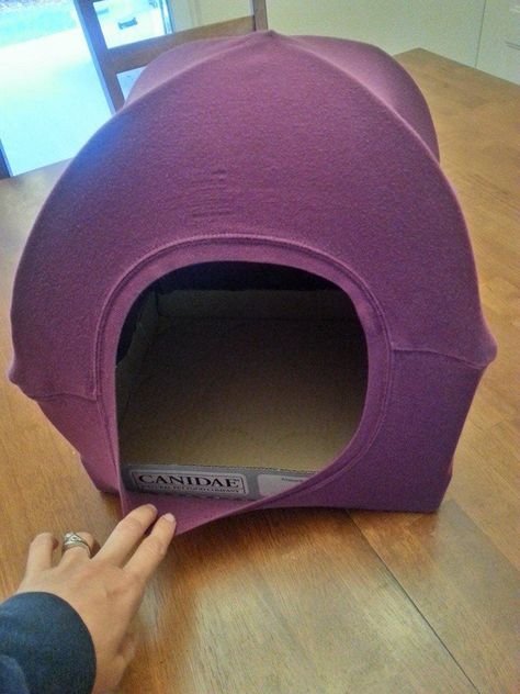 cat tent with t-shirt 2 wire hangers and the card board case from canned cat food Diy Jouet Pour Chat, Katt Diy, Diy Cat Tent, Chat Diy, Cat Tent, Diy Cat Toys, Canned Cat Food, Ideal Toys, Card Board