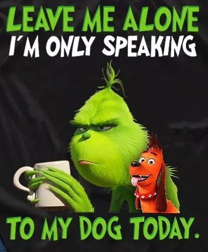 Christmas Quotes Grinch, Grinch Memes, Grinch Images, Funny Mean Quotes, Grinch Quotes, Funny Day Quotes, Mr Grinch, Cute Christmas Wallpaper, Funny Cartoon Quotes