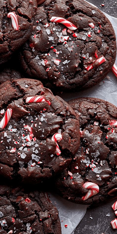 Double Chocolate Peppermint Cookies [30 Minutes] - Chasety Chewy Chocolate Peppermint Cookies, Christmas Cookies Peppermint Chocolate, Peppermint And Chocolate Cookies, Chocolate Dipped Peppermint Cookies, Chocolate Peppermint Cookies Easy, Cocoa Peppermint Cookies, Chocolate Peppermint Slice, Chocolate Oreo Peppermint Cookies, Dark Chocolate Candy Cane Cookies