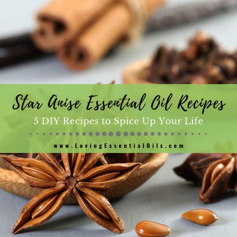 Star Anise Diffuser Blends, Anise Oil, Roman Chamomile Essential Oil, Inner Landscape, Diy Essential Oil Recipes, Coffee Soap, Diy Aromatherapy, Spice Up Your Life, Soap Recipe