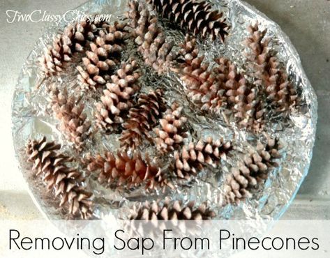 How to BEST Remove Sticky Sap from Pinecones with Step by Step Instructions, Collection Tips and Photographs on Two Classy Chics blog. Pinecone Art, Pinecone Crafts, Decorating Crafts, Pine Cone Art, Cleaning Painted Walls, Cone Crafts, Diy Pinecone, Awesome Crafts, Glass Cooktop