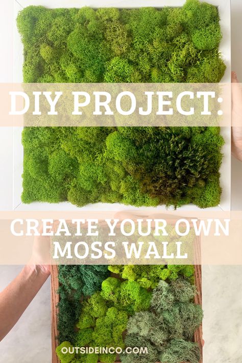 Making A Moss Wall, Real Moss Wall Diy, Diy Moss Wall Art How To Make, Indoor Moss Wall Diy, How To Make Living Moss Wall Art, Living Moss Wall Art Diy How To Make, Live Moss Wall Art Diy How To Make, Diy Moss Art Wall, Moss Canvas Diy