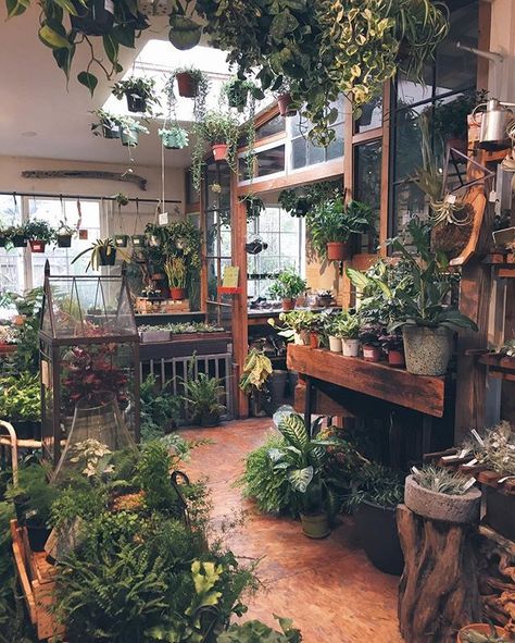 If I could have a garden shop at the rear of my home just like this! نباتات منزلية, Casa Vintage, Indoor Gardens, Room With Plants, Cool Ideas, Garden Shop, Decor Minimalist, House Goals, Garden Shed