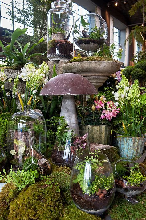 Promising to do for gardening what Urban Outfitters did for street style, Terrain is opening its second garden and home store in Westport. Garden Center Displays, Indoor Gardens, Garden Terrarium, Garden Store, Plants And Flowers, Garden Shop, Dream Garden, Garden Room, Garden Center