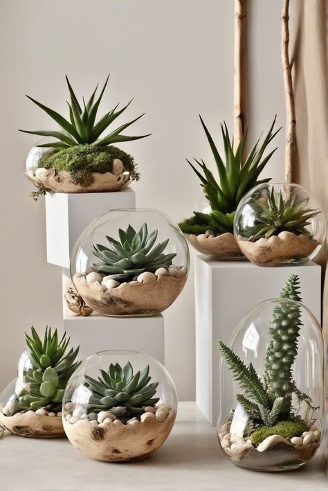 Succulent, Natural Decor, Style Comparison, Home Trends Trending Planters 2023, Natural House Decor Ideas, Terrarios Suculentas Ideas, Decor From Nature, Succulent Terrarium Ideas, Succulent Terrarium Diy, Plants Styling, Glass Jar Diy, Suculentas Ideas