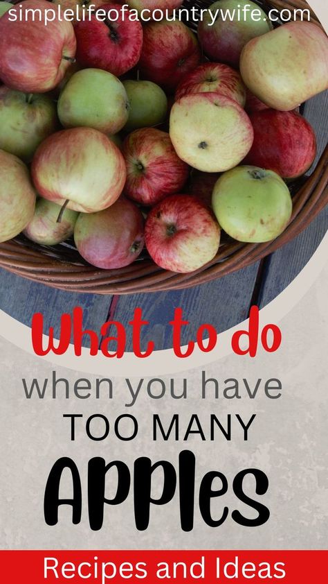 things to make with apples How To Use Up Lots Of Apples, Recipe To Use Up Apples, Apple Recipes Fresh Apples, Make With Apples, Cameo Apple Recipes, What To Do With Apples Easy, Apple Preserving Recipes, Use Up Old Apples, Apple Recipes With Lots Of Apples