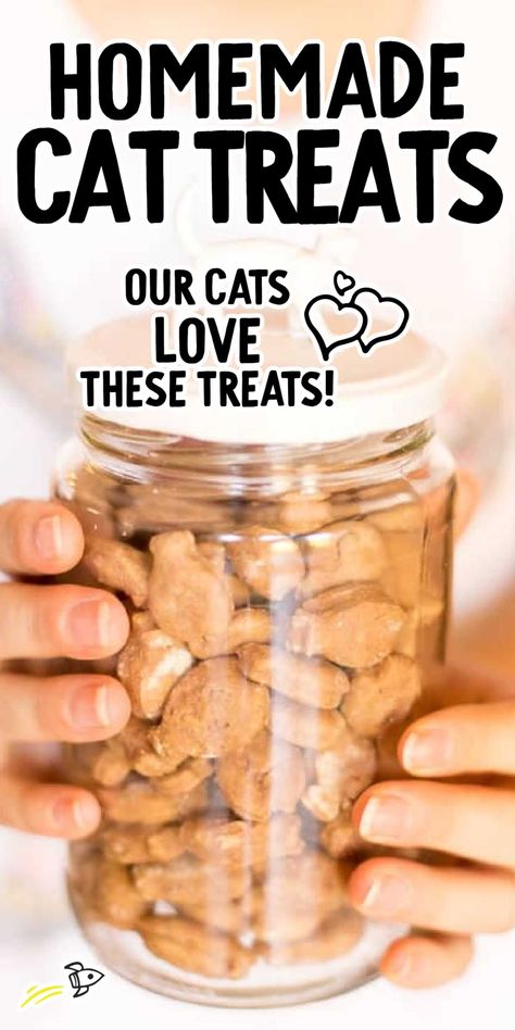 Homemade cat treats, crafted with just three simple ingredients, offer a delicious and safe way to pamper your feline friend. Baked Cat Treats, Easy Homemade Cat Treats, Kitty Treats Homemade, Chicken Cat Treats Homemade, Homemade Treats For Cats, How To Make Cat Treats, No Bake Cat Treats, Homemade Kitten Treats, Cooked Cat Food Recipes