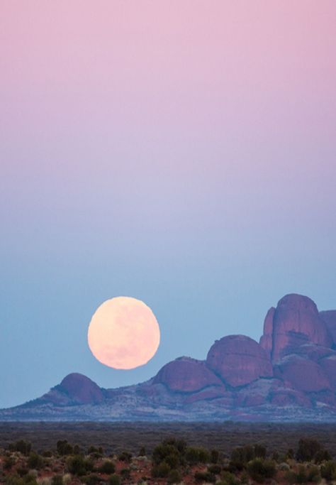 moon over the northern territory of australia | nature + landscape photography #adventure Landscape Photography Tips, Into The Wild, Arte Inspo, The Full Moon, To Infinity And Beyond, Tattoo Sketches, Full Moon, Beautiful World, Wonders Of The World